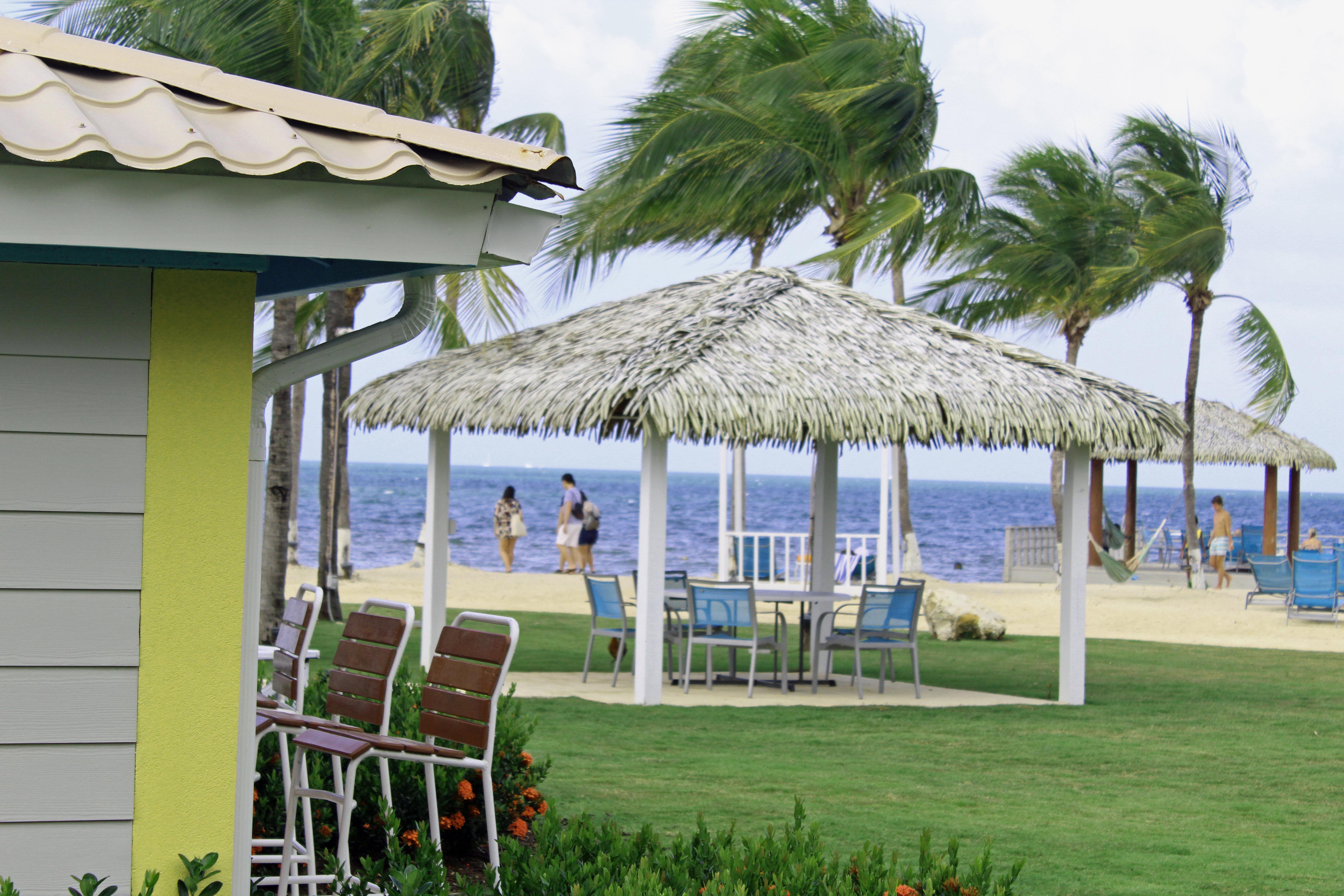 Grand Cayman By Ihg (adults Only) Resort 3*