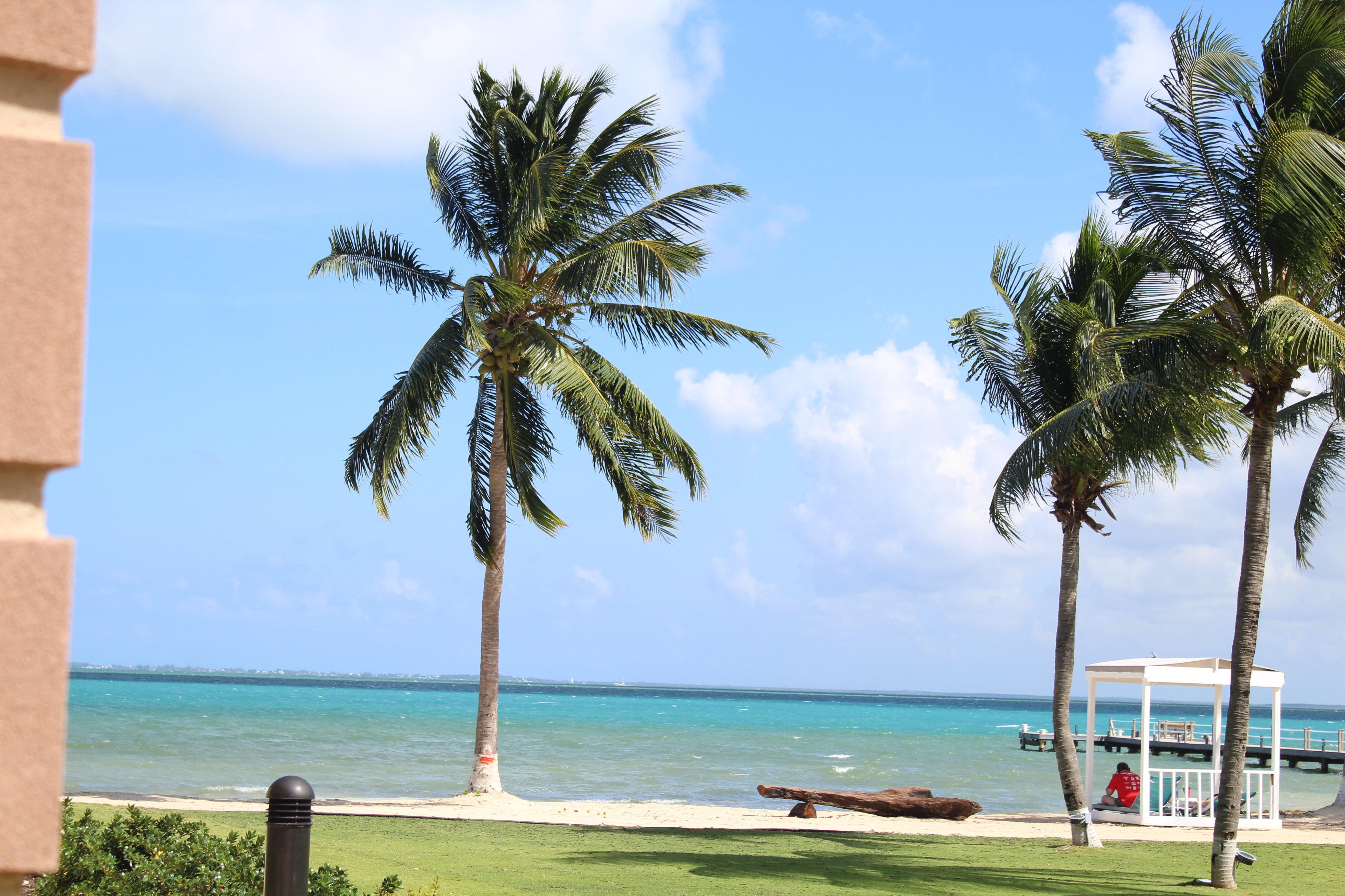 Grand Cayman By Ihg (adults Only) 3*