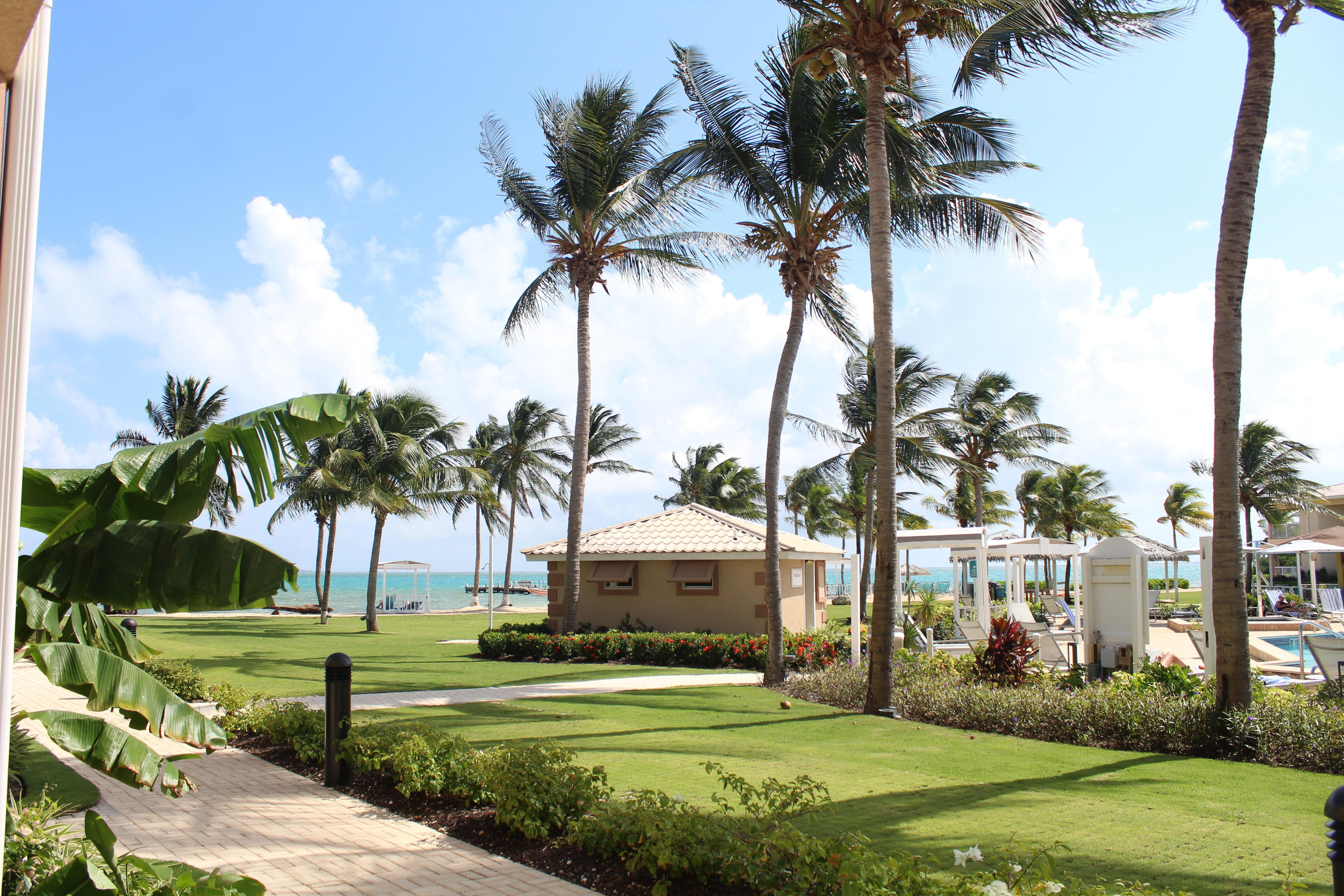 Grand Cayman By Ihg (adults Only) 3*